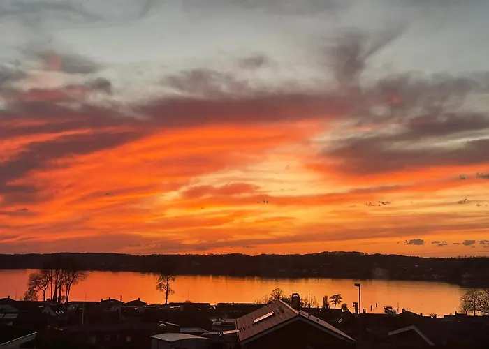 Edelweiss Daire Svendborg